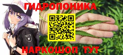 гидра Краснокаменск