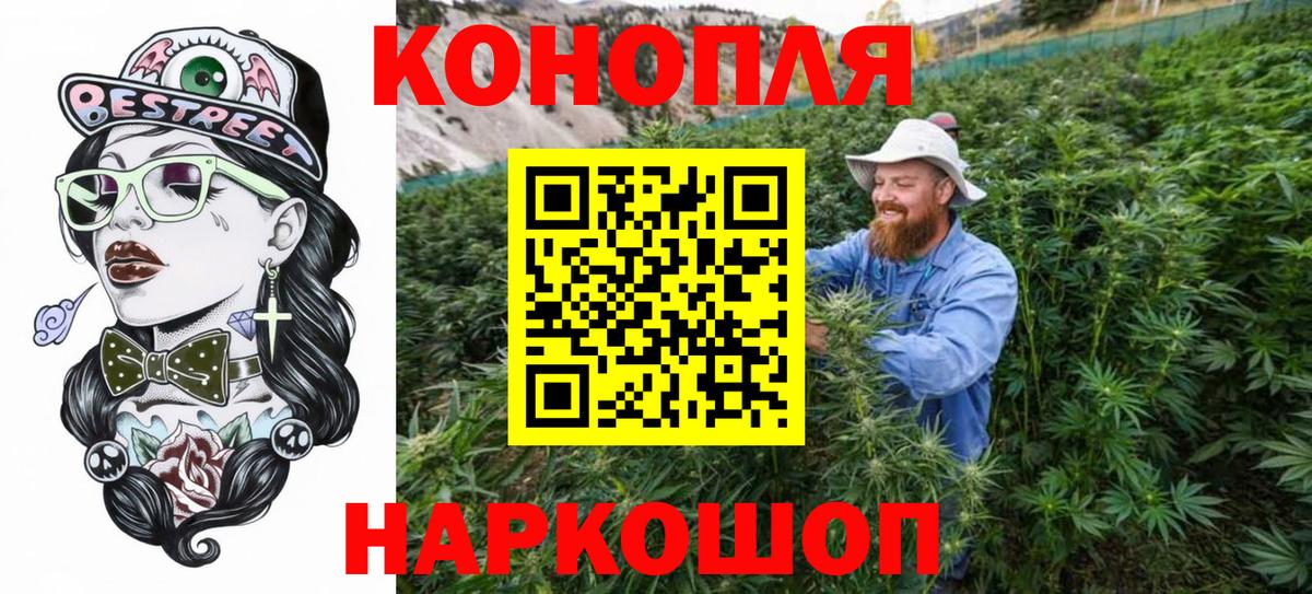 Конопля план Ухта
